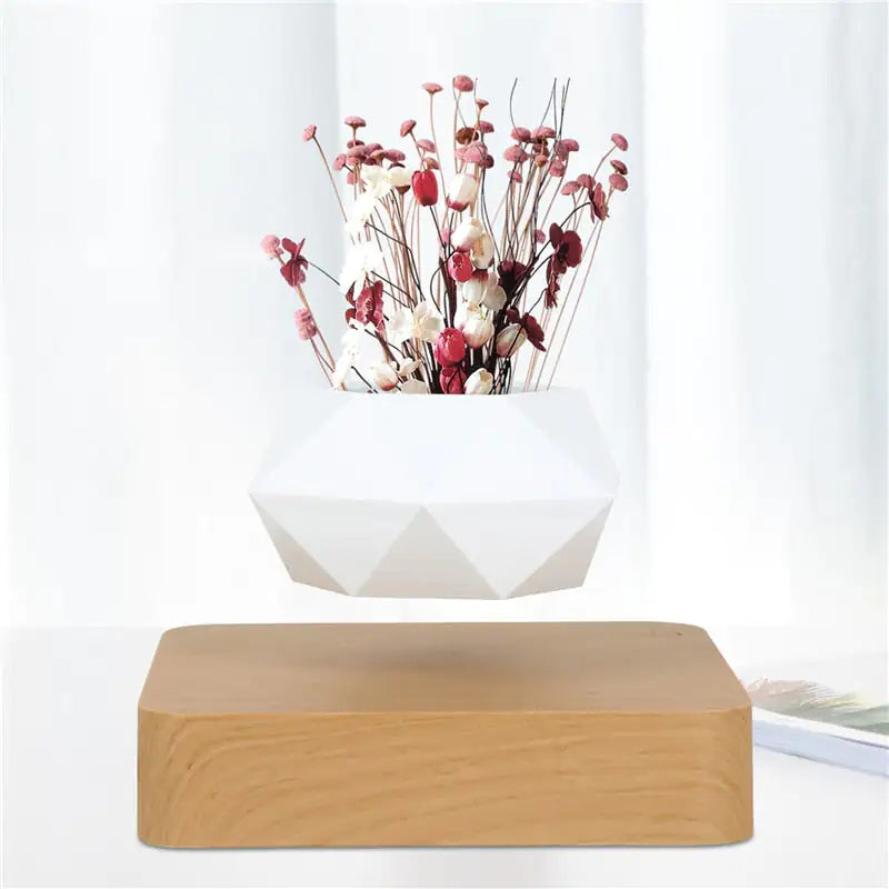 Magic Floating Flower Pot