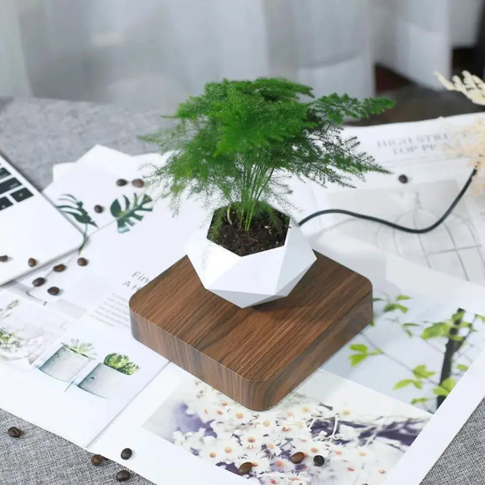 Floating Magnetic Bonsai Pot For Planters